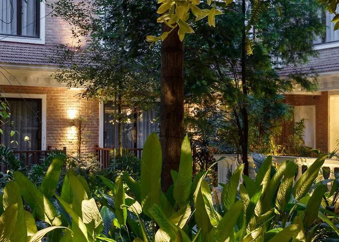 Hotel Thrive, A Tropical Courtyard